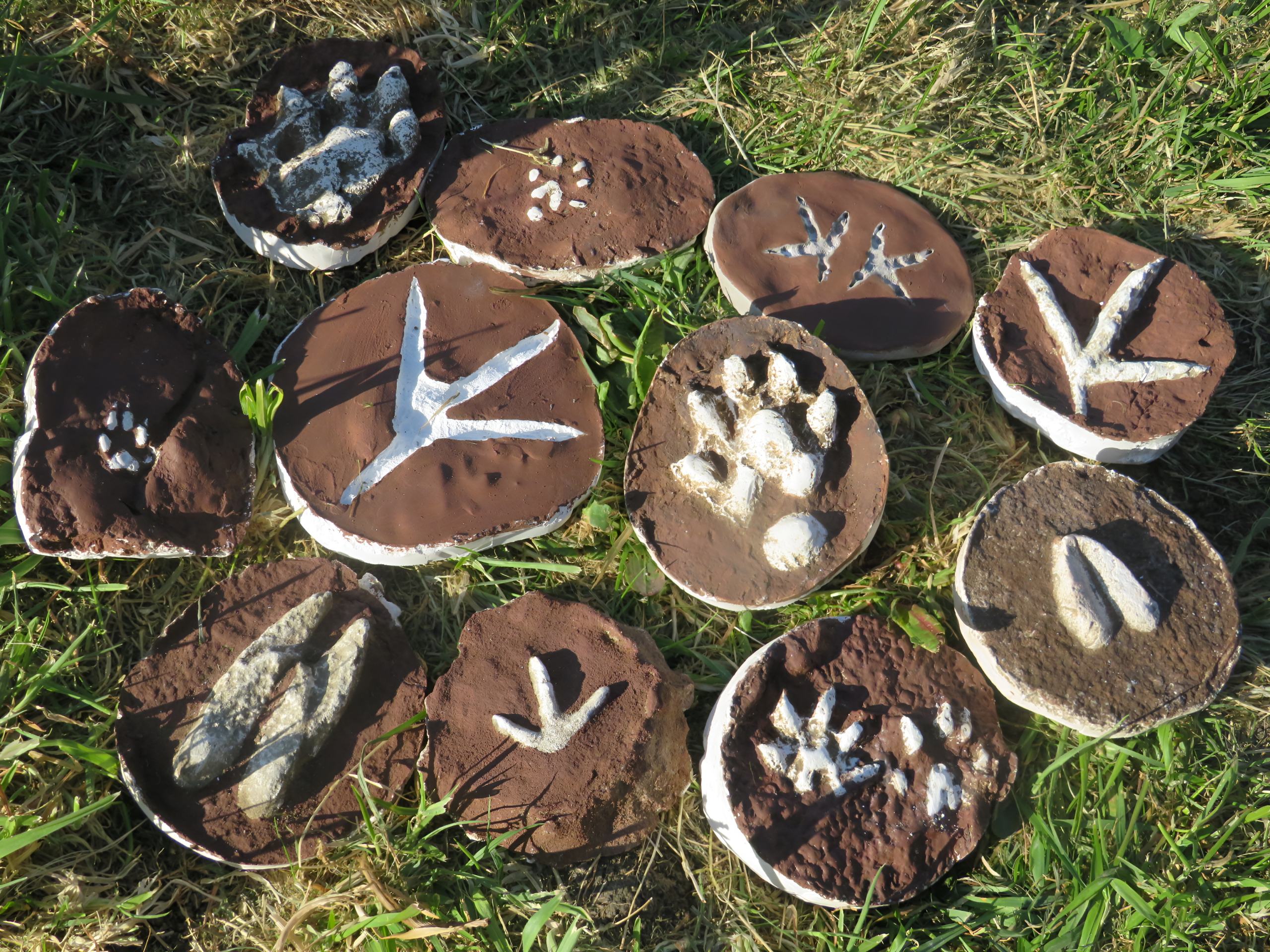 Items made during a Woodland School activity session on the Swinton Estate
