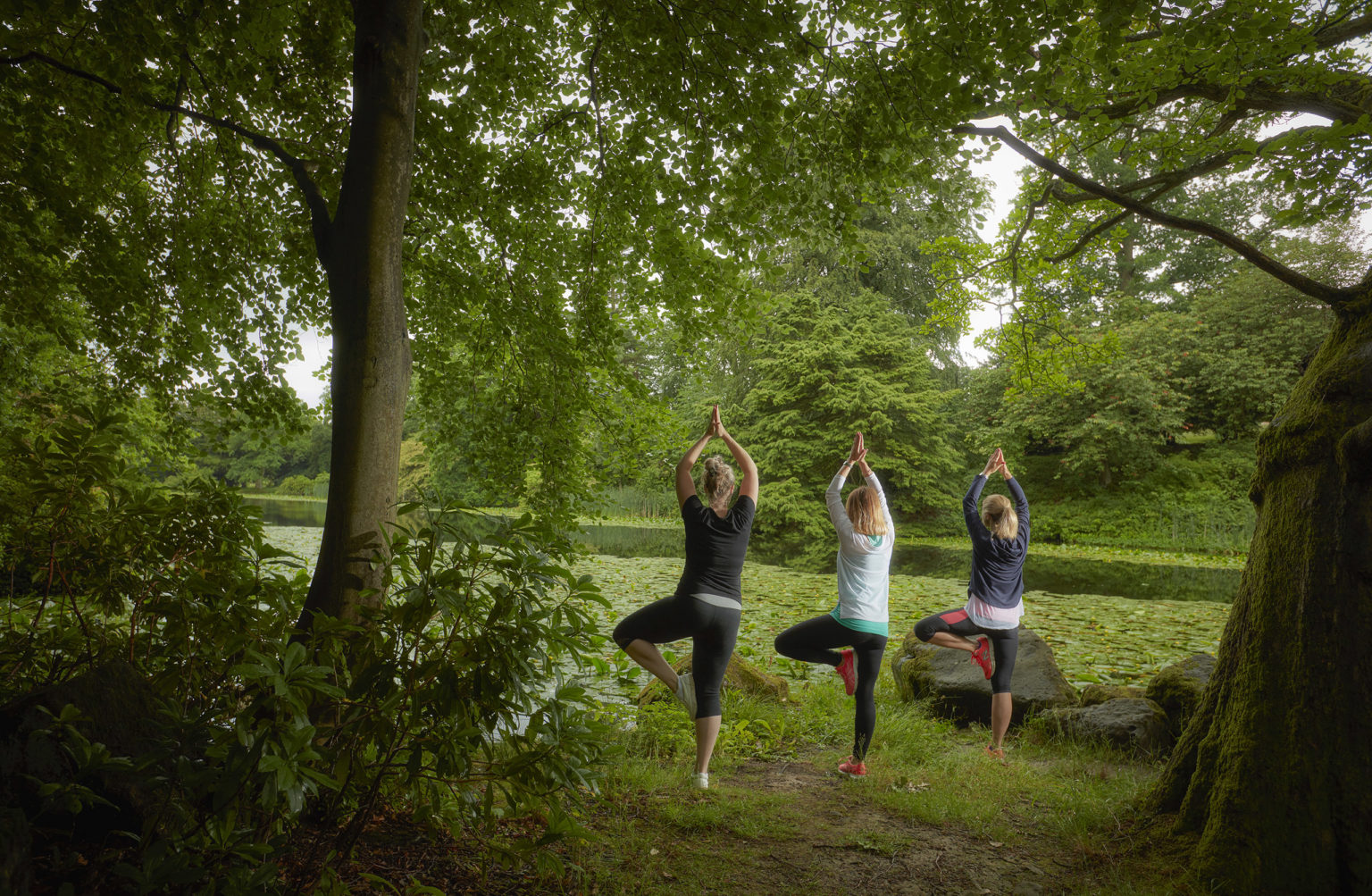 Three people doing yoga poses outside in a woodland near the Yorkshire Dales