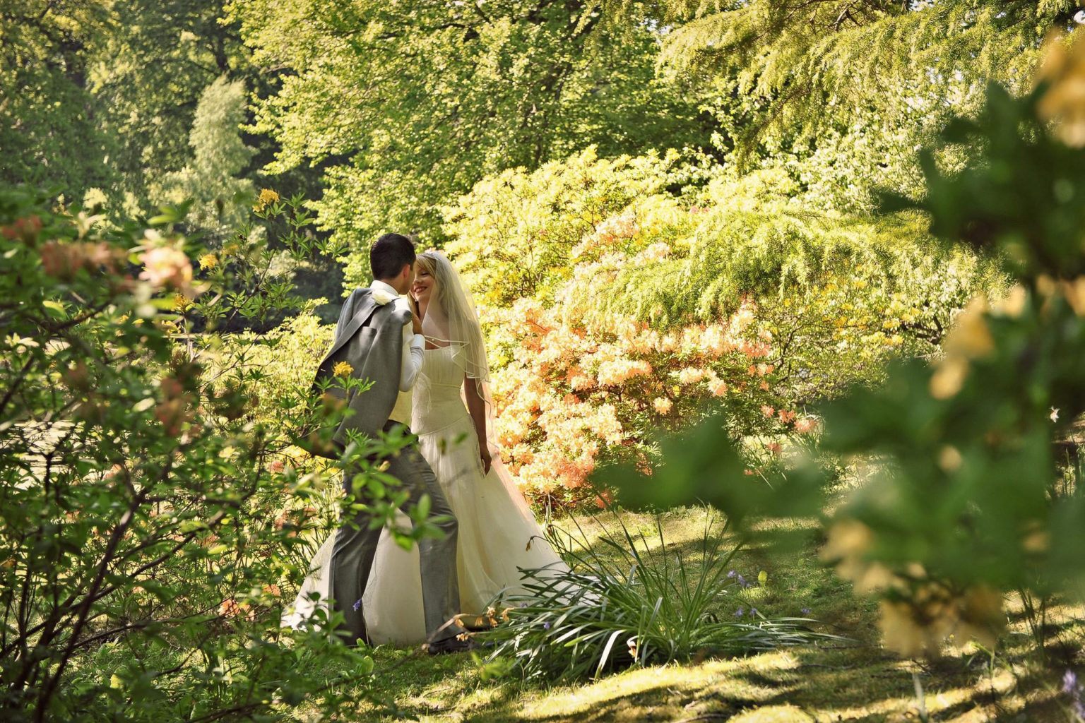 A bride and groom standing among trees in Swinton Estate parkland gardens after a hotel wedding near Harrogate