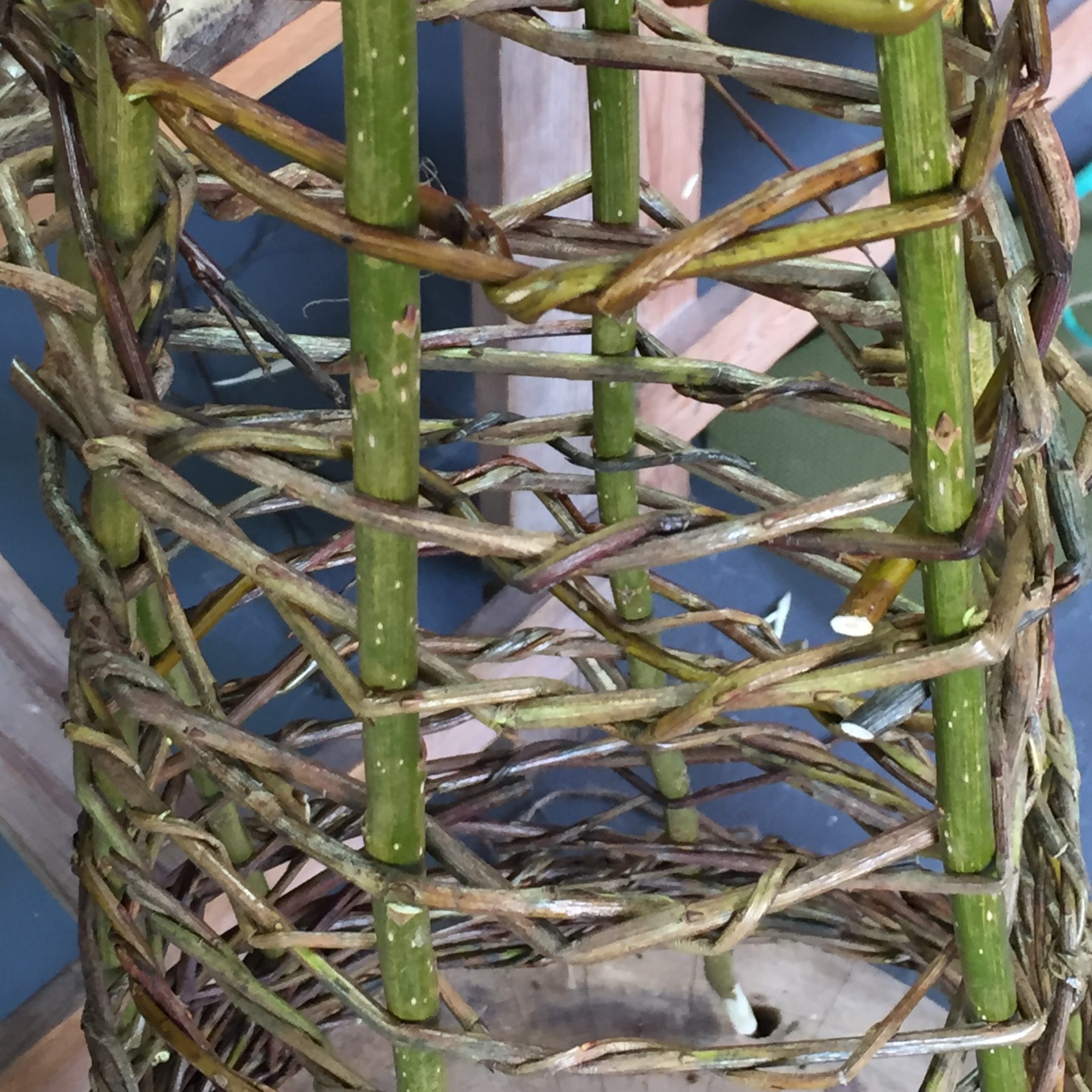 A decorative willow plant support