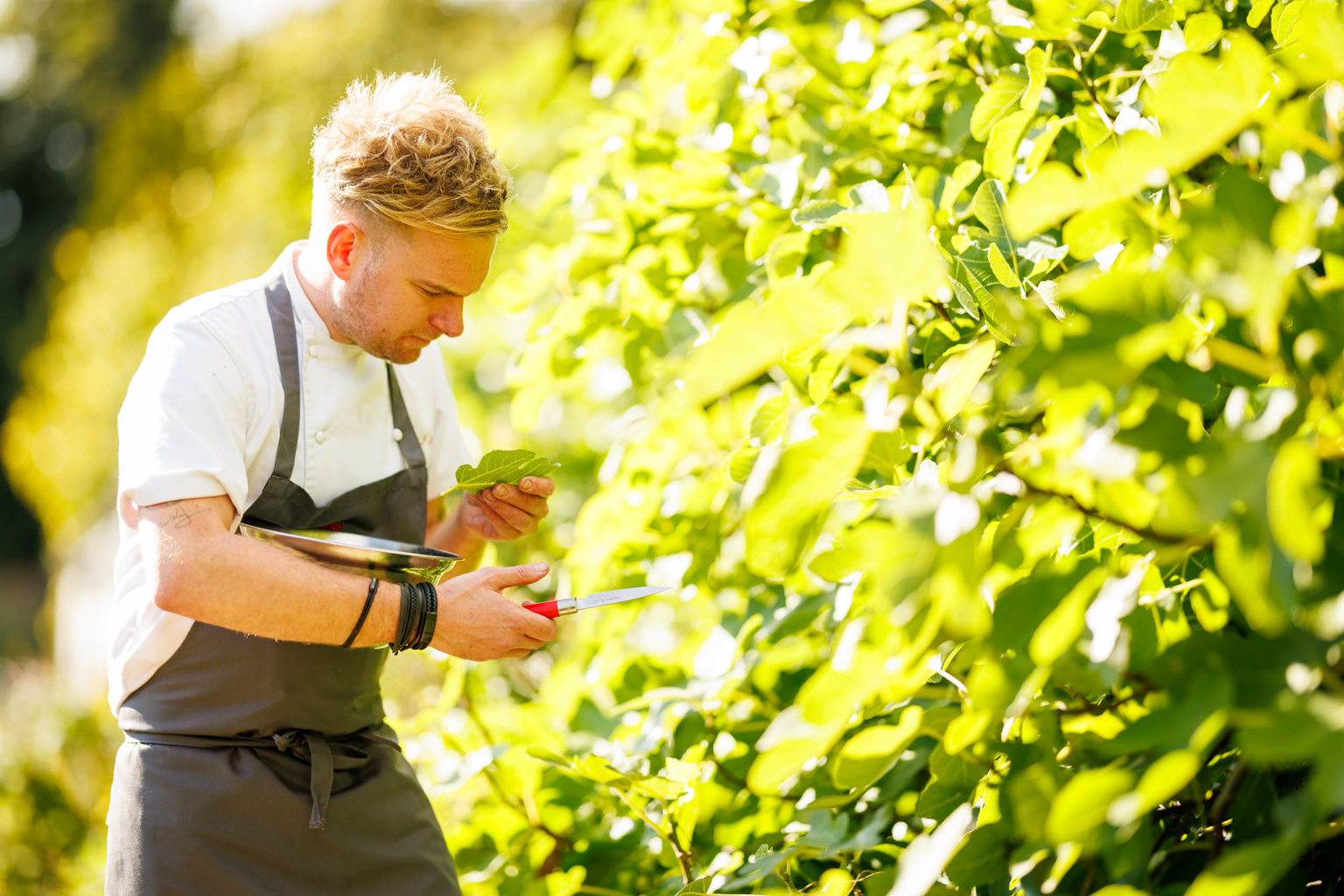 A chef in the Walled Garden inspecting a leaf for use in the kitchen on the Swinton Estate in North Yorkshire