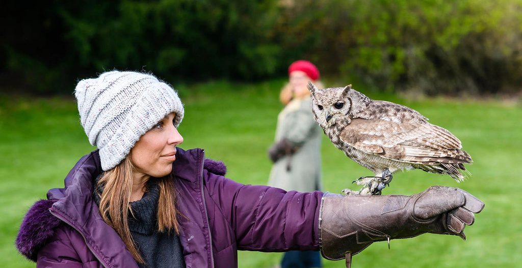 A woman holding an owl during a birds of prey experience at Swinton Estate in North Yorkshire