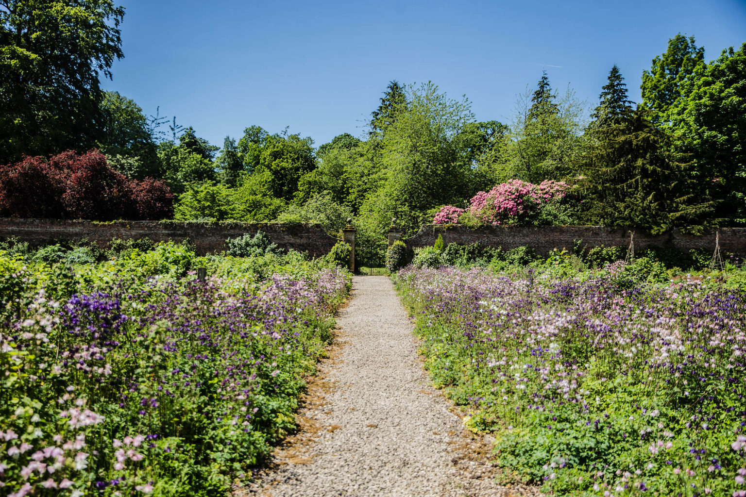 A gravel path leading through flowers and trees at Swinton Park's walled garden on the Swinton Estate in North Yorkshrie