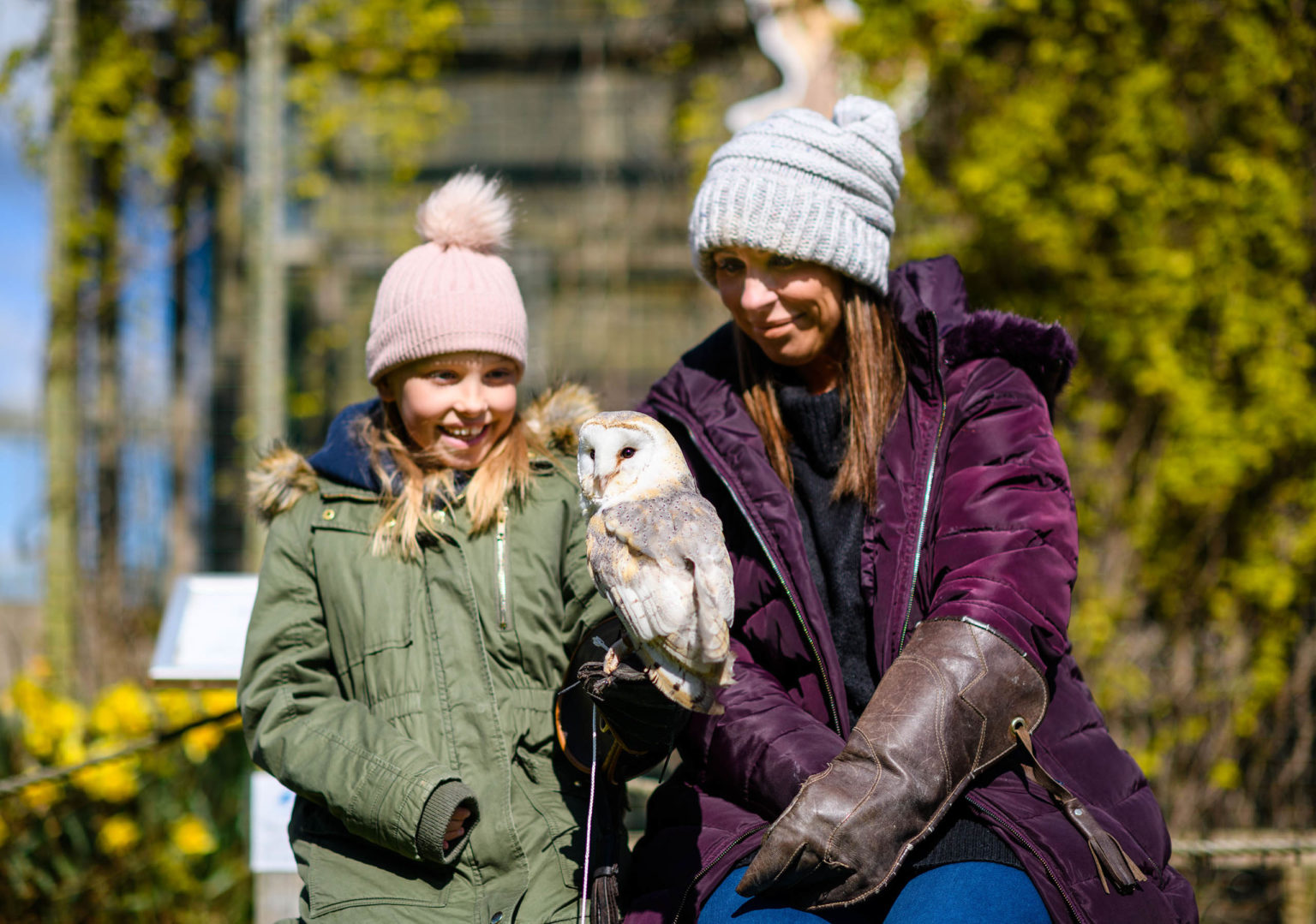 A woman and child holding an owl during a Birds of Prey experience for families near Harrogate and Ripon in North Yorkshire.