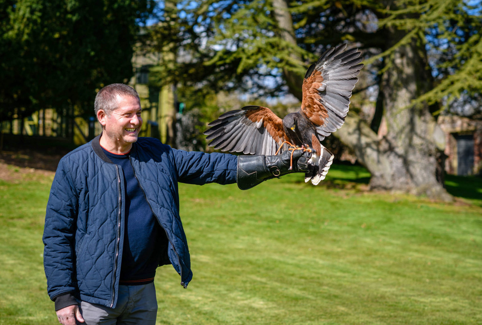 A holding a bird of prey at Swinton Estate in North Yorkshire