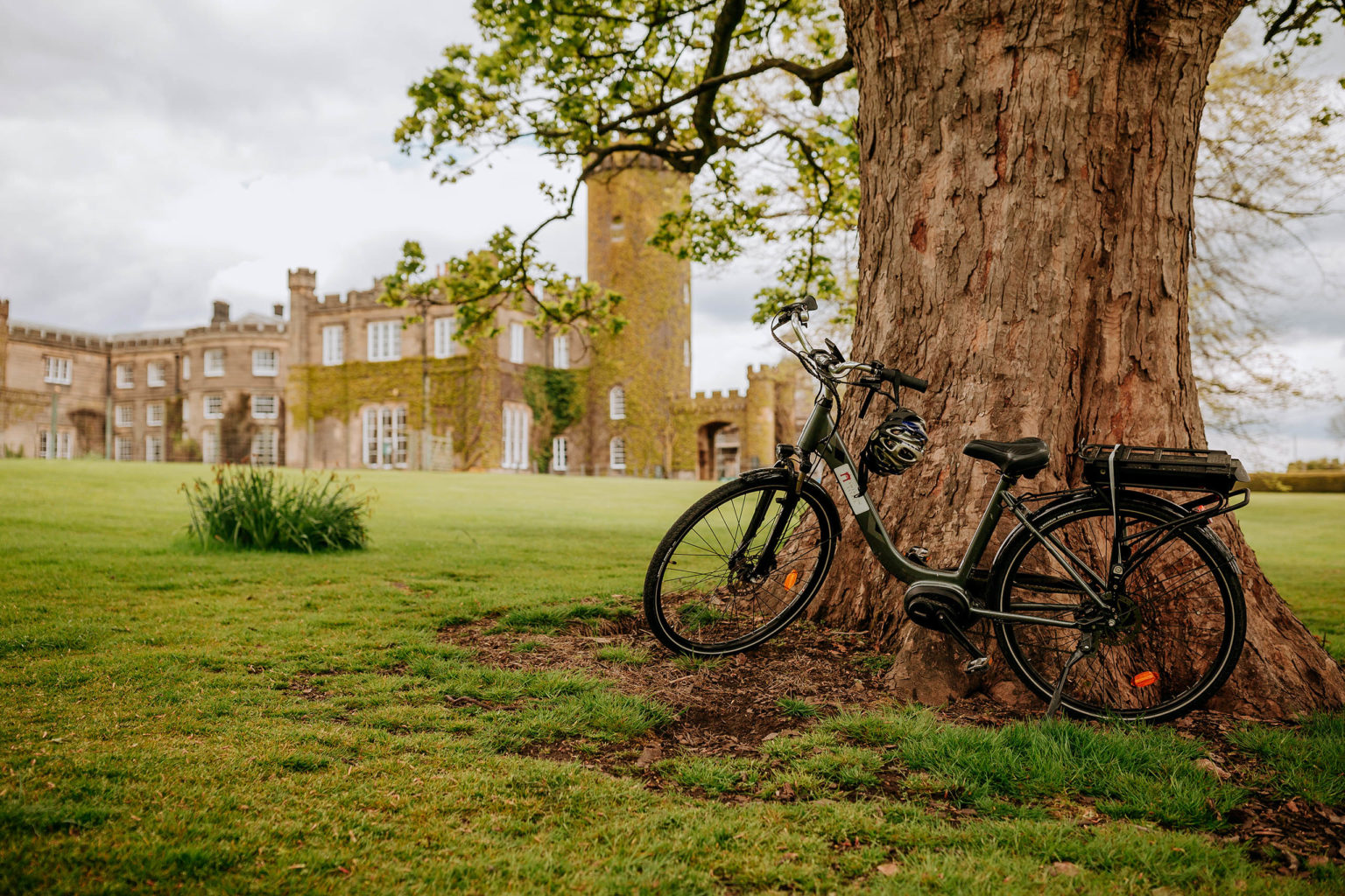 An electric bicycle for hire leaning against a tree on the Swinton Estate in North Yorkshire