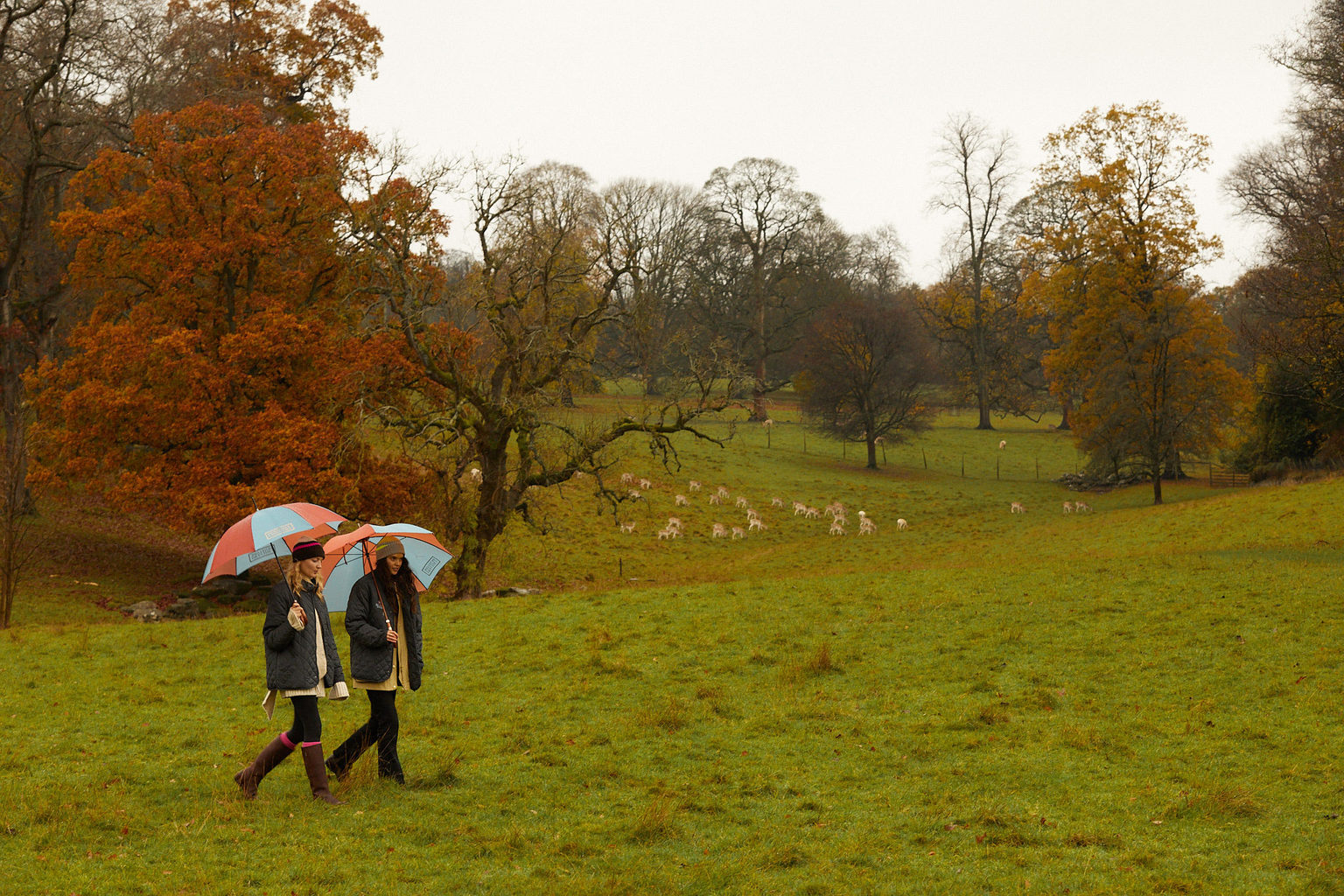 Two people from the Penelope Chilvers brand holding umbrellas as they walk through the Deer Park on the Swinton Estate during a business press trip