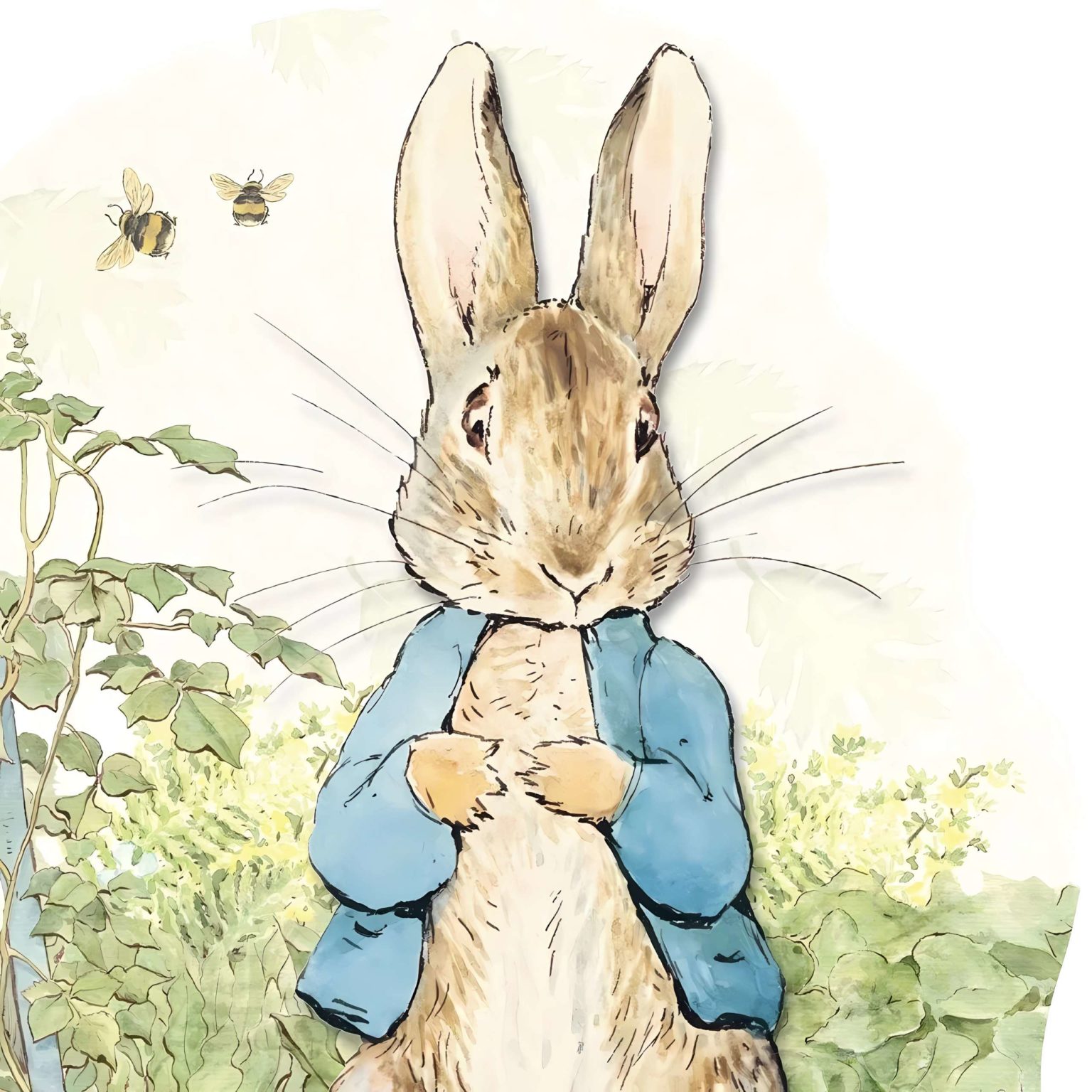 Drawing of Peter Rabbit